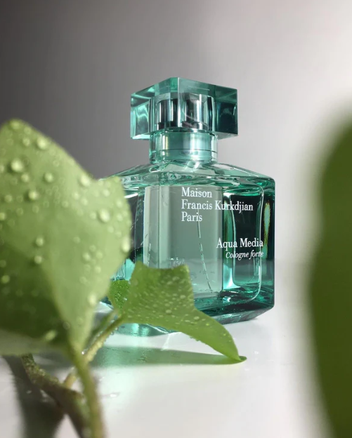Aqua Media Cologne forte - Eau de Parfum