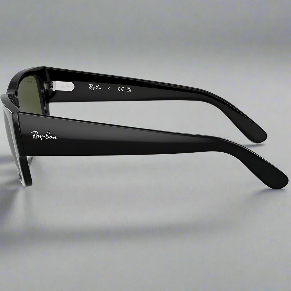Ray-Ban Carlos RB0947S 901/31