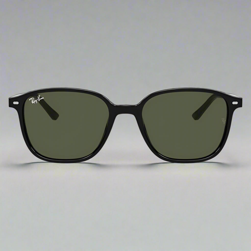 Ray-Ban Leonard RB2193 901/31