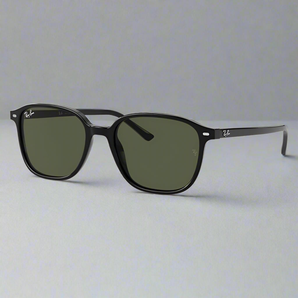Ray-Ban Leonard RB2193 901/31