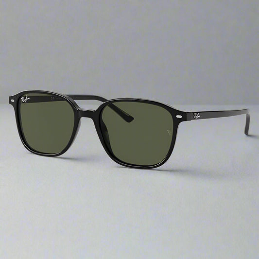 Ray-Ban Leonard RB2193 901/31